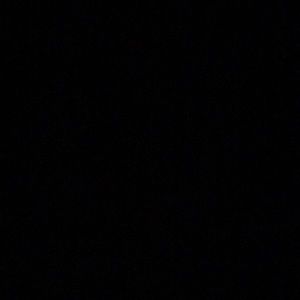 Meet your Posher, Bailey